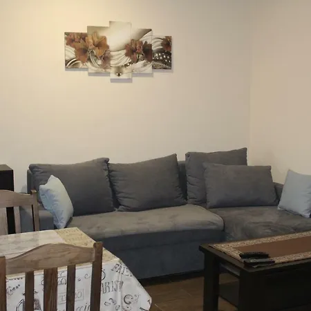 U Bodzia Apartment