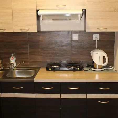 Apartment U Bodzia
