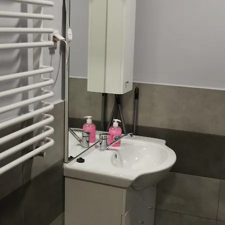 U Bodzia Stronie Śląskie