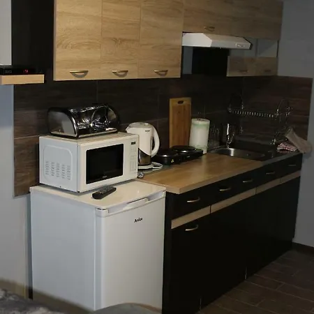 U Bodzia Stronie Śląskie