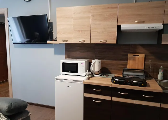 Apartment U Bodzia *